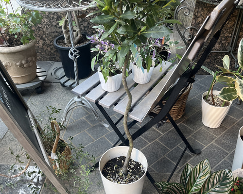 623478f2ac7ab1773359fa9c6bfc22