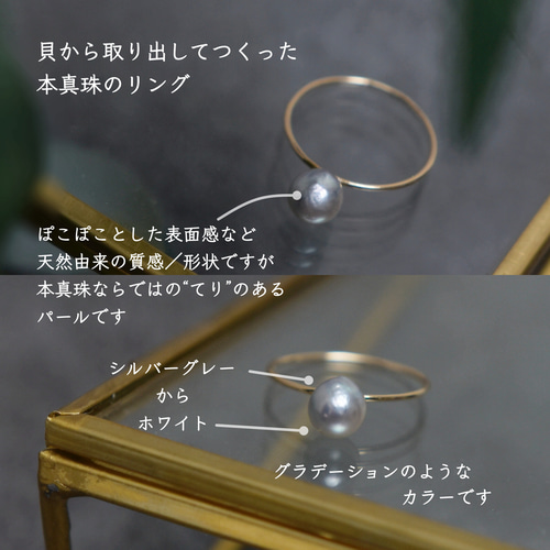 取り出しから製作】K10YG あこや真珠 本真珠 ▶︎リング 指輪 11