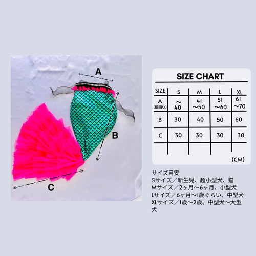 ハロウィン30はるか430 はかない
