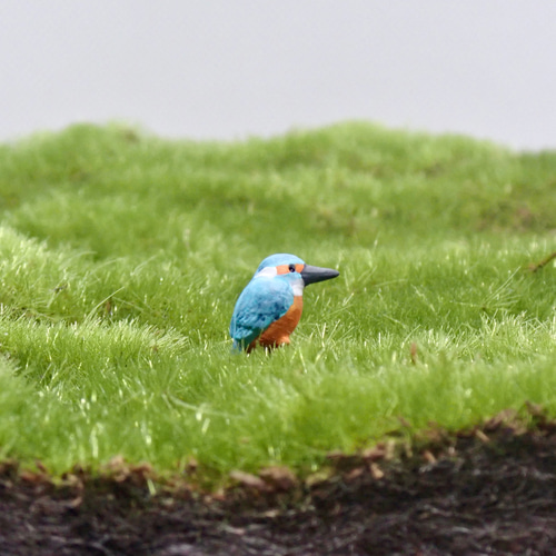 苔テラリウム用フィギュア『カワセミ』※オス・メス有り その他置物
