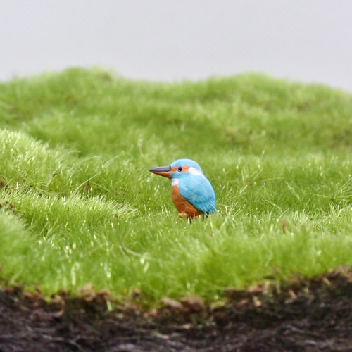 苔テラリウム用フィギュア『カワセミ』※オス・メス有り その他置物