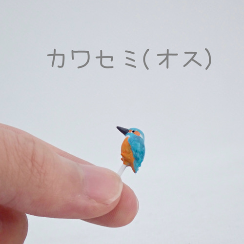苔テラリウム用フィギュア『カワセミ』※オス・メス有り その他置物