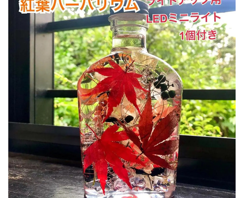 【よっちゃん様オーダー】紅葉ハーバリウム ウィスキー瓶Lサイズ　2本 a5d140944ad671155848058fa976e9