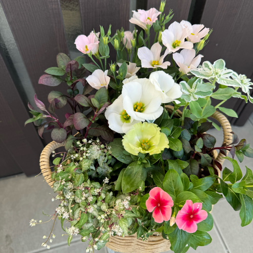 寄せ植え 花□秋の寄せ植え アートフラワー もりのflowers 通販