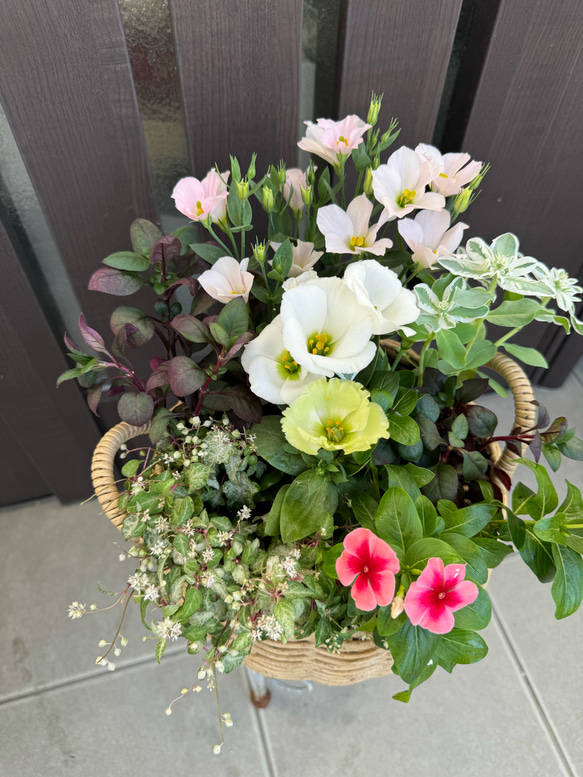 寄せ植え　花■秋の寄せ植え 寄せ植え 花□秋の寄せ植え アートフラワー もりのflowers 通販