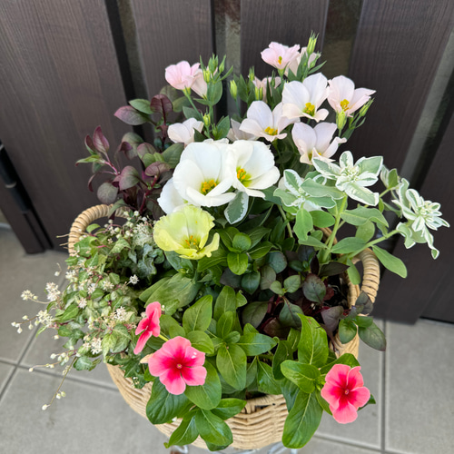 寄せ植え　花■秋の寄せ植え 寄せ植え 花□秋の寄せ植え アートフラワー もりのflowers 通販