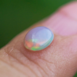 a76ff60cb26253cd407189f9c95e35