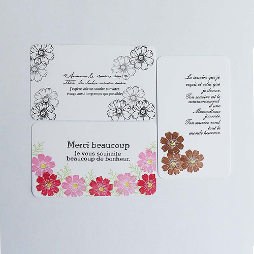 未使用 葉が素敵なスタンプ&ダイセット スタンピンアップ 未使用 葉