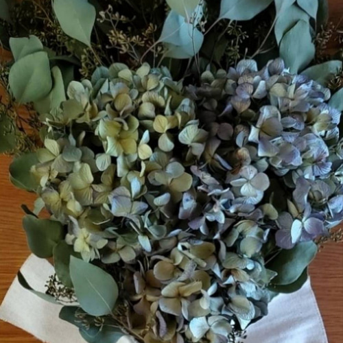 独特な 紫陽花とユーカリのグリーンスワッグ | le petit bonheur