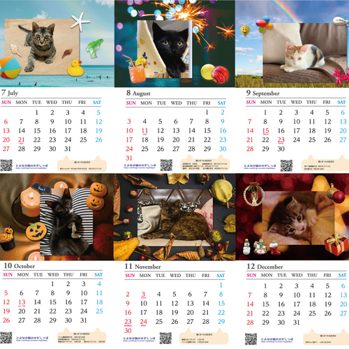 2025年度】保護猫チャリティーカレンダー 壁かけA4サイズ ♡17匹の