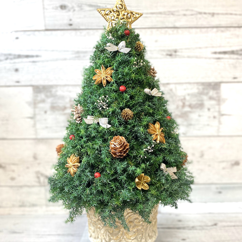 少し大きめサイズ(高さ約42cm) ヒムロスギのクリスマスツリー