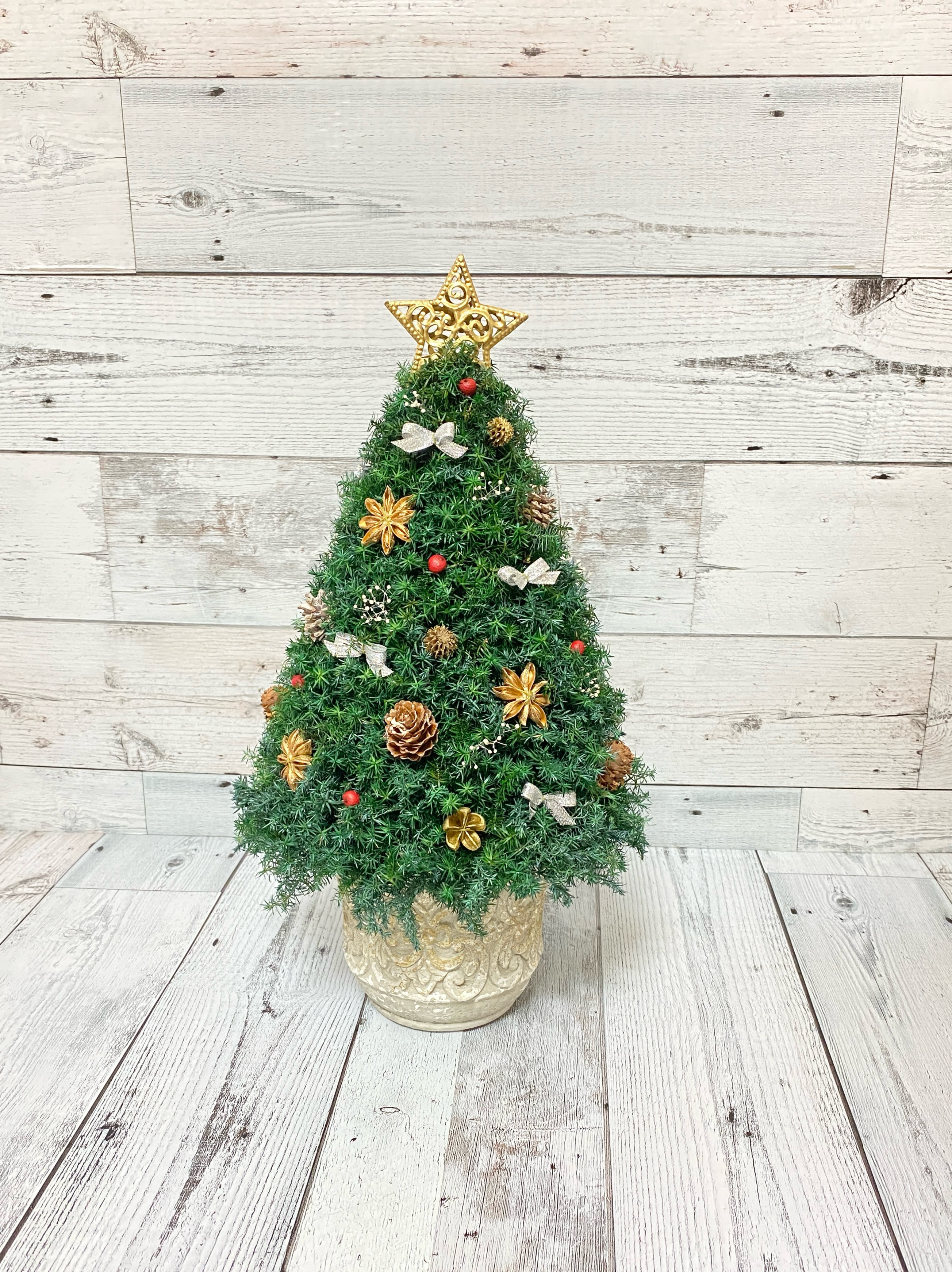 少し大きめサイズ(高さ約42cm) ヒムロスギのクリスマスツリー