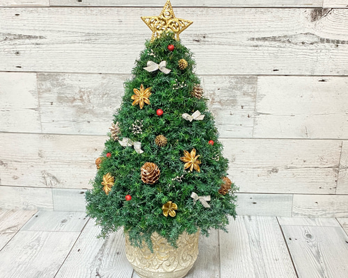 少し大きめサイズ(高さ約42cm) ヒムロスギのクリスマスツリー