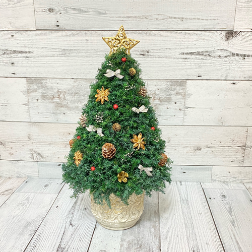 少し大きめサイズ(高さ約42cm) ヒムロスギのクリスマスツリー