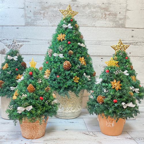 少し大きめサイズ(高さ約42cm) ヒムロスギのクリスマスツリー