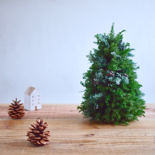 Merry christmas 静かな森の小さなクリスマスツリー