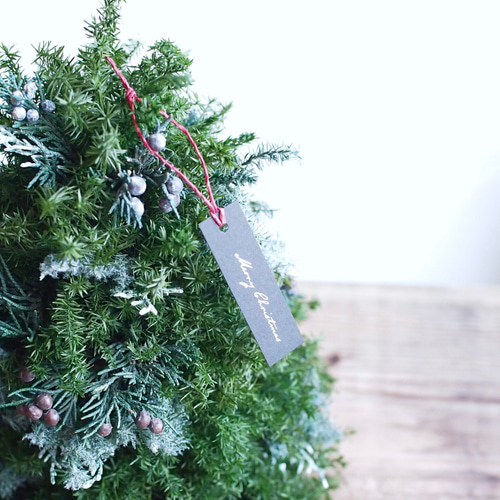 Merry christmas 静かな森の小さなクリスマスツリー Merry christmas 静かな森の小さなクリスマスツリー