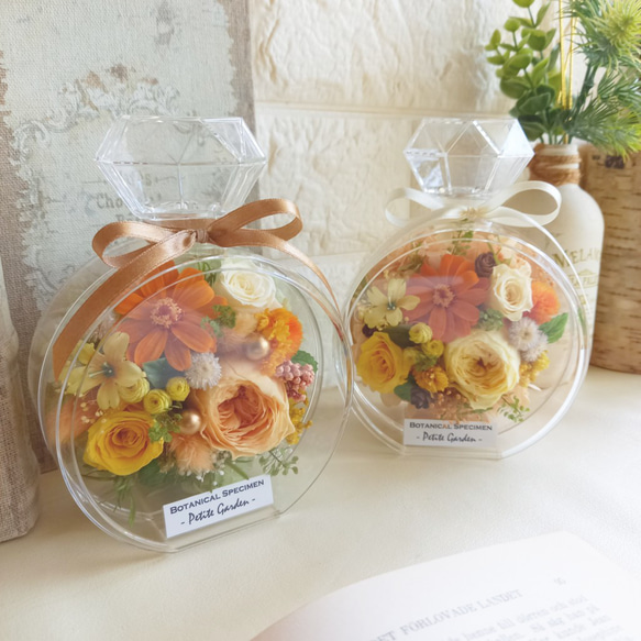 英国製  mirabelle 可憐なお花と金彩のプレート大 英国製 WEDGWOOD mirabelle 可憐なお花と金彩のプレート大