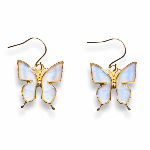 本物の蝶の羽　蝶ピアス　スルコウスキーモルフォ　[zps005g-sul]