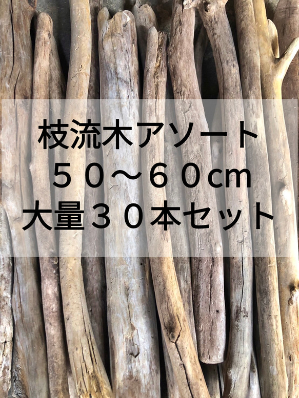 76355050_4