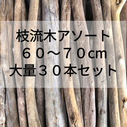 ☆sea tree☆送料無料♪煮沸消毒済み流木 大型流木2/水槽