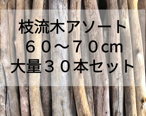 送料無料○まがり屋流木 天然流木 枝流木【大量30本セット】【60