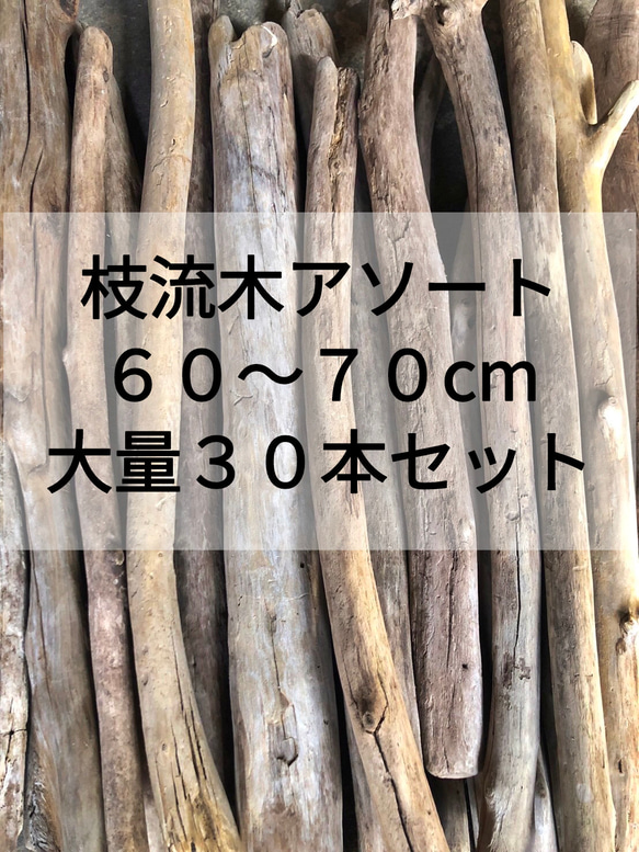 送料無料○まがり屋流木 天然流木 枝流木【大量30本セット】【60 
