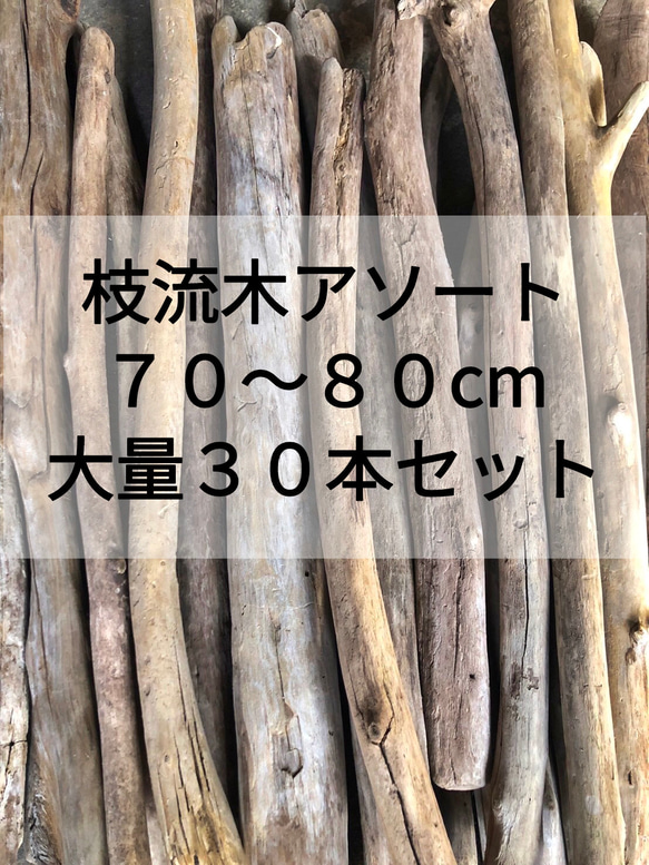 流木 約10.6㎝×7㎝×3㎝ 送料無料○まがり屋流木 天然流木 枝流木【大量30本セット】【70