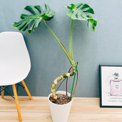 78b58bdcaa58bfc2c7b94976c133fb