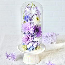 花束のようなガラスドーム 藤色 Lサイズ高さ27㎝ 仏花プリザーブド