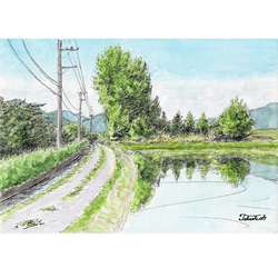 水彩画原画 桜堤と菜の花 ＃590 絵画 syoumei 通販 15408863