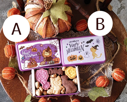 9f5658234f5f349119bd9c26c43bd5