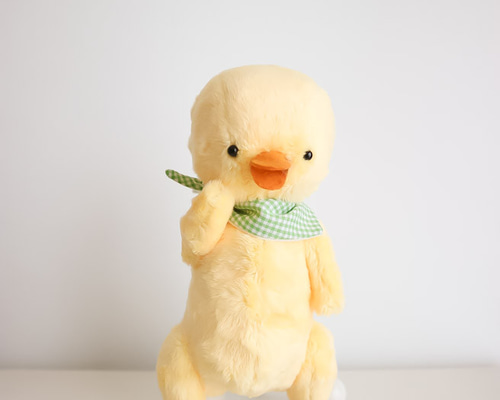 作家さまのかわいいヒヨコさん 作家さまのかわいいヒヨコさん