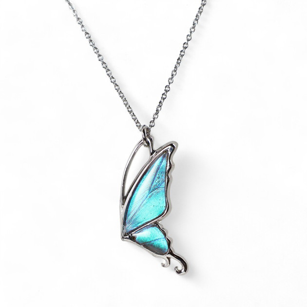 本物の蝶の羽　片羽蝶ネックレス　ゼフィリティスモルフォ　[zps051r-zep]