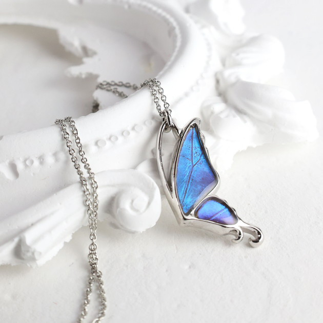 本物の蝶の羽　片羽蝶ネックレス　ゼフィリティスモルフォ　[zps051r-zep]