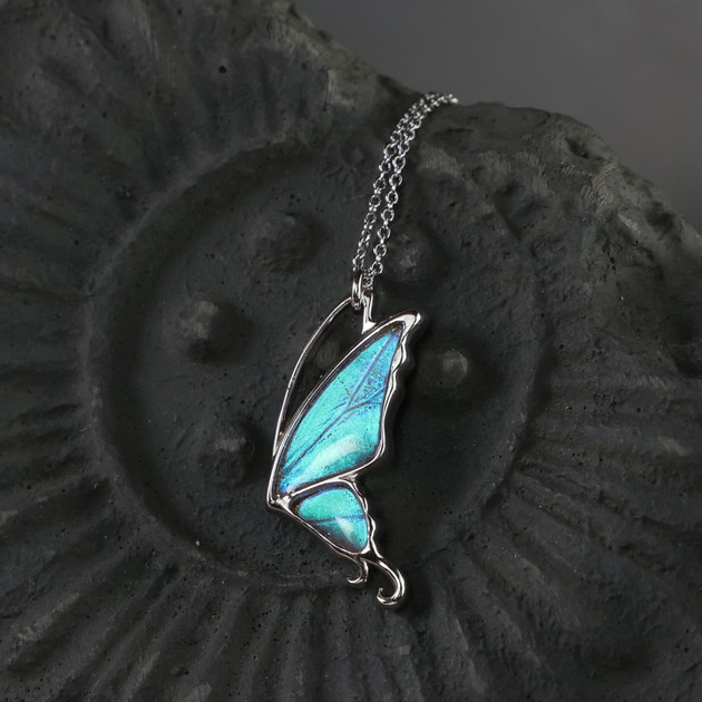 本物の蝶の羽　片羽蝶ネックレス　ゼフィリティスモルフォ　[zps051r-zep]