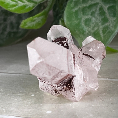 聖地のクリスタル✨ ヒマラヤ マニカラン産 ピンク水晶 原石