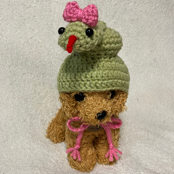 Slinky Style: Get Ready for 2025 with Adorable Snake-Themed Hats for Small Dogs