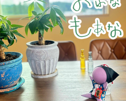 モンチッチ さるぼぼ 飛騨高山限定 女の子 Sサイズ ぬいぐるみ