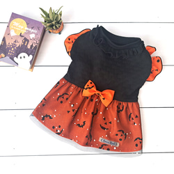 犬服⭐︎ハンドメイド　フリルワンピース 犬服～リボン付き裾フリルワンピース 春夏 受注製作(XS～M