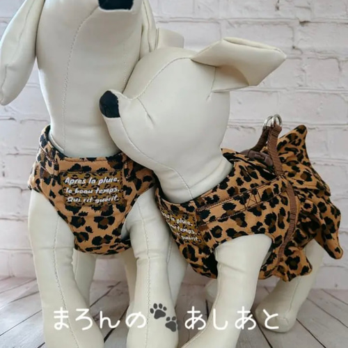 犬猫ハーネス ヒョウ柄 通常ハーネス リード・首輪 まろんの🐾あしあと