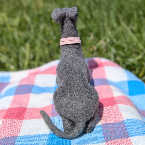 寂しげな優しい目】イタグレ【鼻先からお尻まで12.5cm】羊毛