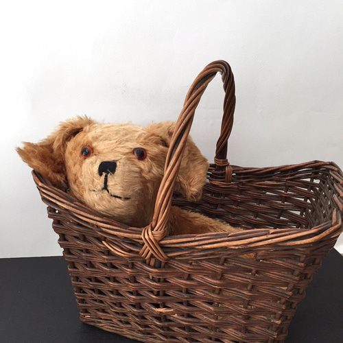 フランス　アンティーク　わんこ　☆ 犬　テディベア フランス アンティーク わんこ ☆ 犬 テディベア