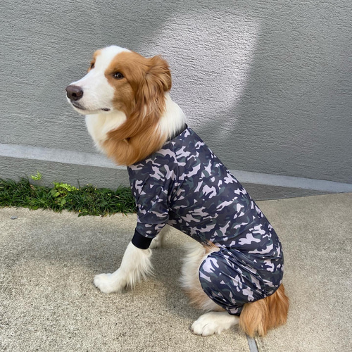 アクティブなワンちゃん用ロンパース （黄色チェックロンパース 