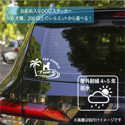 キャバリア ステッカー 車 波乗り かわいい かっこいい おしゃれ シール 040d 2枚目の画像