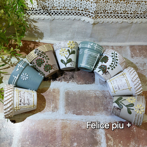 リメイク鉢 リメ鉢 2号鉢8点セット 多肉植物 多肉植物 Felice piu + 