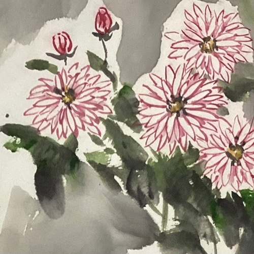 10% OFF ❤︎❤️❤︎ ¥5,500→¥4,950 Blooming Chrysanthemum菊花爛漫