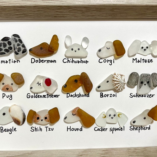 ☆シーグラスアート☆ No.38☆『図鑑シリーズ。犬たち』4 写真