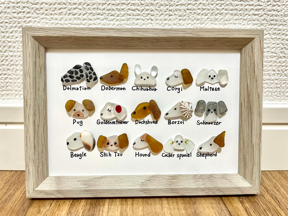 ☆シーグラスアート☆ No.38☆『図鑑シリーズ。犬たち』4 写真