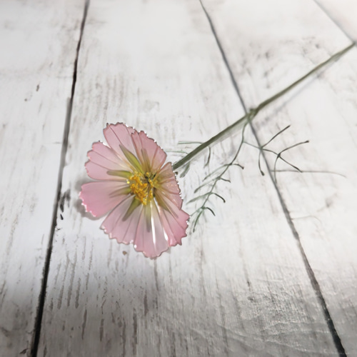 再販】コスモス アメリカンフラワー/ディップアート アートフラワー
